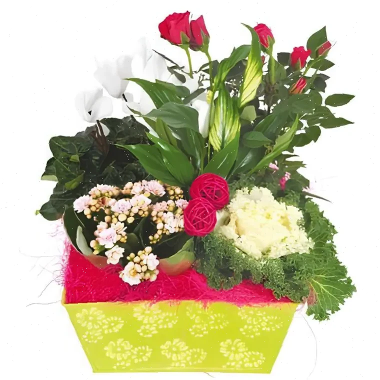 Floras
